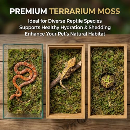 Sukh Sphagnum Moss for Reptiles - Terrarium Reptile Moss Substrate, 11.2 OZ | Habitat Bedding for Snake, Gecko, Turtle, Frog, Bearded Dragon, Jumping Spider, Chameleon, Enclosure & Tank Accessories Decor - size: 11.2 Ounces
