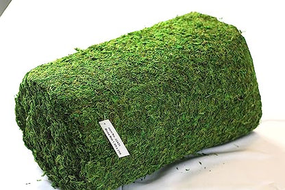 Preserved Moss Runner and Mats (18in x 25ft Runner) - color: 18in X 25ft Runner