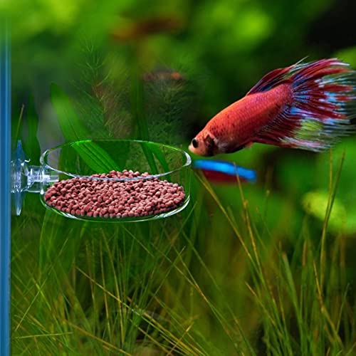 Aquarium Glass Feeder Shrimp Feeding Dish Round Clear Fish Tank Food Tray Container Prevent Food Spilling with Suction Cup, 65mm - size: 65mm