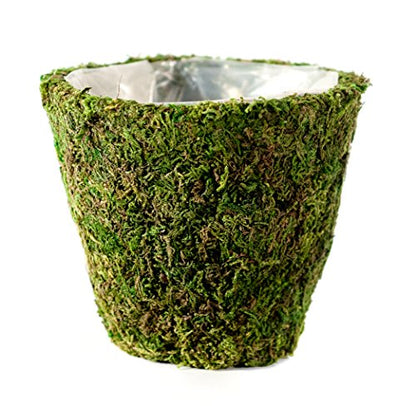 SuperMoss (55202) Carmel, Fresh Green, 6" Drop-in - size: 6" Drop-in
