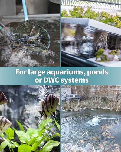 Pawfly Aquarium Air Stone 6 Inch, Fish Tank Bread Air Stone Bubbler Oxygen Diffuser for Large Air Pump Fish Tank Outdoor Garden Pond and DWC System - size: 6 Inch