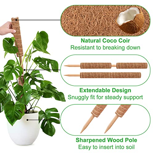 GROWNEER 42 Inch Moss Pole for Plants, 4 Pcs 15 Inch Stackable Coir Totem Support, Moss Sticks with 15pcs Labels and 78in Garden Ties, Monstera and Snake Plants Stake for Climbing Indoor