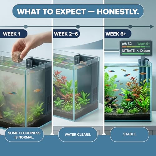 EcoBio-Block Aquarium Water Clarifier (Mini, 3–8 gal) | Volcanic Rock — Lasts Up to 2 Years — No Weekly Additives — Long-Term Water Balance — Safe for Fish, Shrimp, Frogs & Turtles - size: 1 Pack, style: Mini