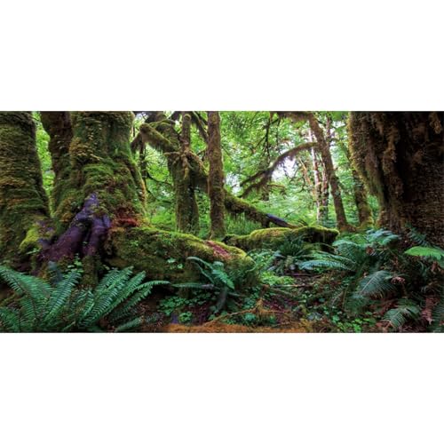 AWERT 30x18 inches Tropical Forest Terrarium Background Green Huge Tree Reptile Habitat Background Rainforest Aquarium Background Durable Polyester Background - size: 30x18in/75x45cm