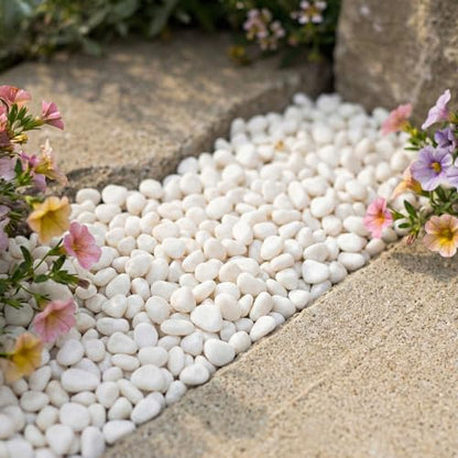 Royal Imports River Rocks, Aquarium Gravel – White 0.5"- 0.75" - 30 lbs | Decorative Ornamental Vase Filler Pebbles for Potted Plants, Terrariums, Vases, Succulents, Fish Tank Gravel, DIY & Crafting - size: Small - 30 lbs, style: White