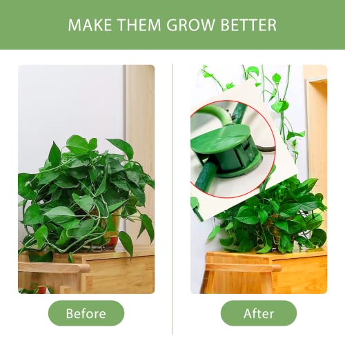 Plant Clips for Climbing Plants（40 Pack）, Self-Adhesive Fixer, Plant Climbing Wall Fixture Clips for Supporting Stems Grow Upright, Vines Traction, Cable Wire Fixing