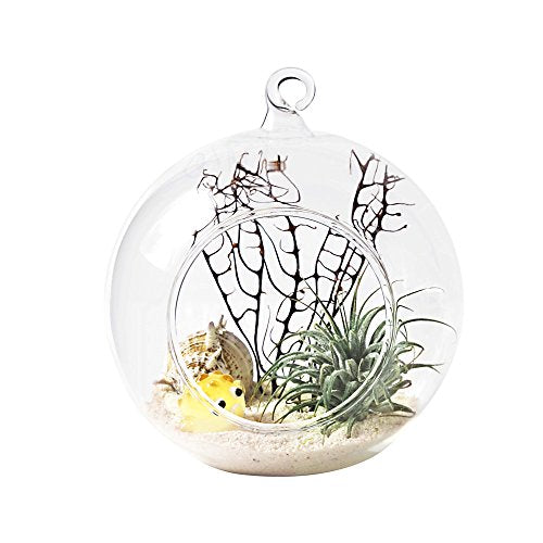 Mkono 2 Pack Glass Hanging Planter Air Fern Holder Terrarium Plants Hanger Vase Home Christmas Decoration Gift Idea for Succulent Moss Tillandsias Air Plants, Globe and Teardrop