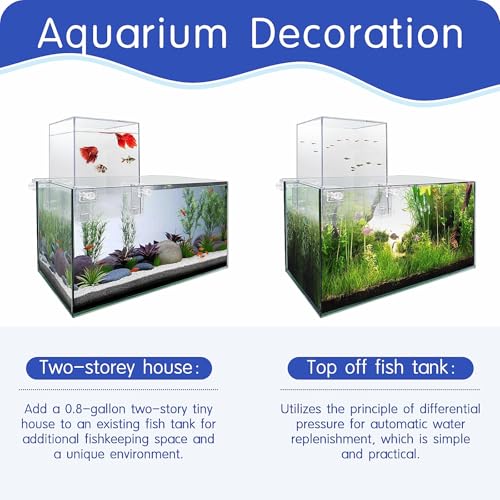 Elevator Inverted Negative Pressure Fish Tank Tall Aquarium | Cool Design, Unique