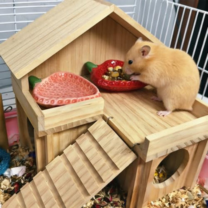 2PCS Hamster Bowl, Hamster Food Dish Ceramic Food Water Feeding Bowl Small Animal Bowls for Gerbil Rat Mice Hedgehog (Strawberry) - color: 2Pcs Strawberry bowl