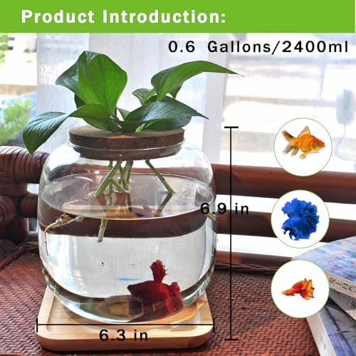 Betta Fish Bowl Glass Small Fish Tank with Bamboo Stand, Plant Propagation Station Hydroponic Terrarium with Lid beta Fish Aquariums 0.6 Gallon