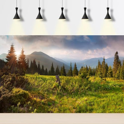 Sunrise Mountain Landscape Aquarium Background Lush Green Wild Meadow Plants Pine Trees Fish Tank Background Misty Foggy Cloudy Blue Sky Mountain Ridge Reptile Tank Terrarium Backgrounds 30x12in - color: Green, size: 30(W)x12(H)in