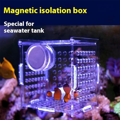 Acrylic Fish Breeding Box, Magnetic Fish Isolation Box Fish Separator for Aquarium Hatchery Incubator Tank for Baby Fishes Shrimp Clownfish Guppy (Small, Reinforced Magnetic Model) - size: Small, Reinforced magnetic model