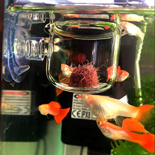 2 Packs Aquarium Live Feeder Shrimp Fish Food Feeding Cups Small Clear Acrylic Cup with Suction Cup