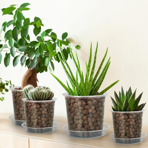 FUIJOL 6 Pack Clear Plant Saucer, Durable Plant Drip Trays Saucers for Pots, No Holes Water Catcher Trays for Indoor Outdoor Planter, Sturdy Base Plate (Clear, 3"-6Pack) - size: 3"-6Pack