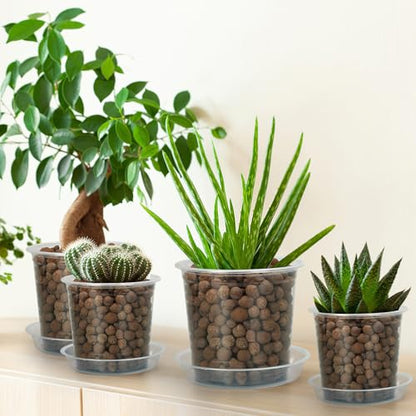 FUIJOL 6 Pack Clear Plant Saucer, Durable Plant Drip Trays Saucers for Pots, No Holes Water Catcher Trays for Indoor Outdoor Planter, Sturdy Base Plate (Clear, 3"-6Pack) - size: 3"-6Pack