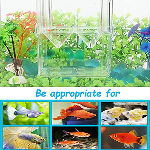 Tfwadmx Fish Breeding Box, 3 Rooms HD Aquarium Breeder Box with Suction Cups Hatchery Acrylic Fish Incubator Isolation with Artificial Plant for Guppy Hatchery - size: 3 Rooms