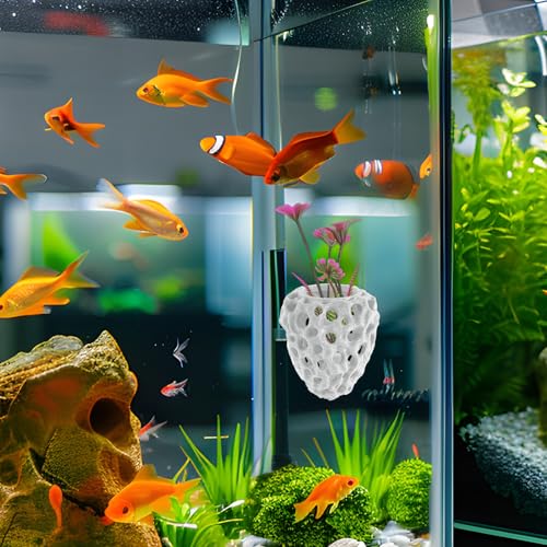 WOONEKY Shrimp Hideout Aquarium Cave with Multiple Holes Hollow Coral Rock Breeding Shelter Fish Tank Decoration for Freshwater Shrimp and Betta Fish