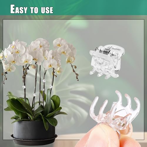 100pc Clear Orchid Clips – 0.79" Opening Clip Plant Clips for Climbing Plants, Plant Wall Clips, Flower & Garden Support Clips, Reusable Mini Plant Cages & Stakes for Patio, Lawn & Greenhouse