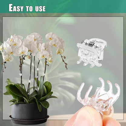 100pc Clear Orchid Clips – 0.79" Opening Clip Plant Clips for Climbing Plants, Plant Wall Clips, Flower & Garden Support Clips, Reusable Mini Plant Cages & Stakes for Patio, Lawn & Greenhouse