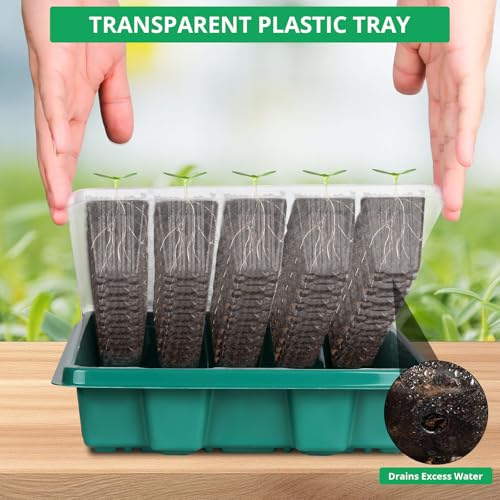 Sondiko Seed Starter Tray with Grow Light, 80 Cells Seed Starter Kit with Humidity Dome, Adjustable Brightness Plant Starter Trays, Indoor Plants Germination Kit(2 Pack) - color: Green