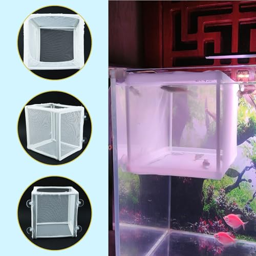 MY MIRONEY 6.3" x 5.63" x 6.22" Fish Incubator Mesh Box Pack of 2 | Aquarium Fish Breeder Box White Nylon Mesh Juvenile Fish Separation Net Fish Fry Hatchery with Suction Cups - style: 6.3" x 5.63" x 6.22"; White; without Divider