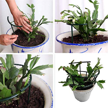 Belit 8 Pack Plant Supports for Small Plants, Garden Flowers Green Plant Support Ring, Planter Support Ring for Schlumbergera, Clivia, Succulents, 5.5" Wide x 5.9" High - size: 5.5" x 5.9"