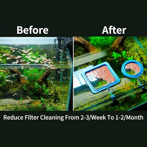 Betta Fish Feeding Ring: 2-Pack Floating Food Holder