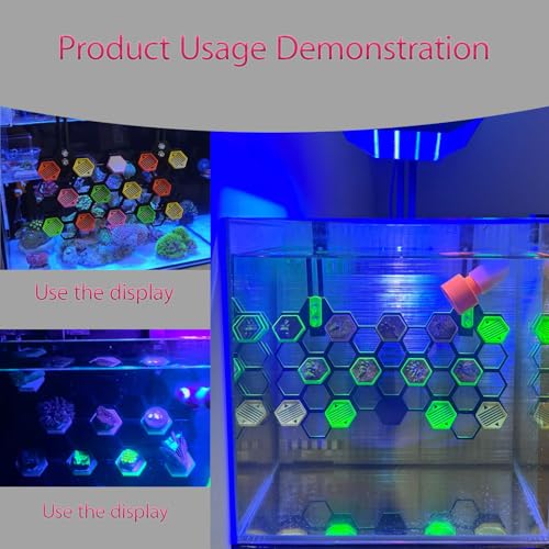 Coral Fragment Stand is Used for Coral Reef Tanks. It Contains 13 Fragment Holders and has an Inclined Viewing Surface for a Wider View. It is a seawater Aquarium Fragment Support