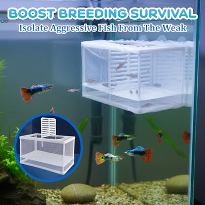 2 Pack Breeder Box for Fish Tank, Plastic Frame Breeding Box with Suction Cups, Fish Breeder Box for Aquarium, Mesh-Framed Fish Fry Incubator with Partitions