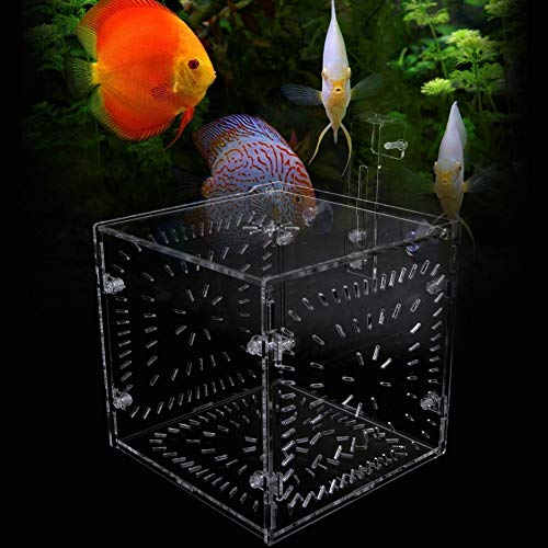 Acrylic Fish Breeding Box 20x20x20cm Mesh Rearing Trap for Baby Shrimp Clownfish Guppy, Isolation Board Prevents Adult Attack, Adjustable Suction Cup Fixation for Aquarium Hatchery - size: 15CM*15CM*15CM