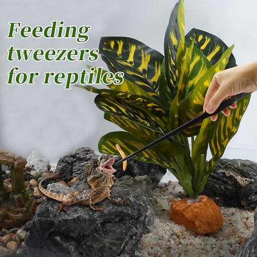 Reptile Feeding Tongs, Stainless Steel Lizard Feeding Tongs, Aquarium Straight Feeding Tweezers for Reptiles with Rubber Tip, Terrarium Feeding Tong for Gecko, 14.96" Length, Black - size: 14.96"