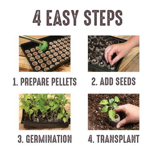 Jiffy Seed Starting Tray Kit, 36 Cell 36mm Peat Pellets with Bonus SUPERthrive - style: 1 Greenhouse Kit