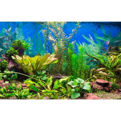 Aquarium Background Various Underwater Grass Plants Aquarium Backdrop Vivid and Fresh Green Aquatic Plants Stone River Bed and Dead Wood Purple Stone Fish Tank Background 24x12in - color: Seagrass Green, size: 24(W)x12(H)inches/ 60(W)*30cm(H)