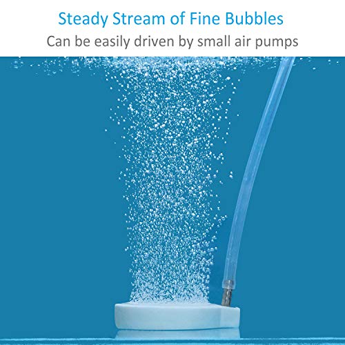 Pawfly 2 Inch Air Stone Disc Aerator Bubble Diffuser for Small Air Pump Aquarium Fish Tank Bowl - size: 2 inch