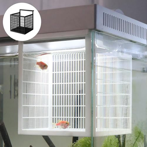 Fry Isolation Box,Aquariums Fishing Fry Isolation Box for Secure Habitat Bettas Fry Ventilation Holes Oxygen Flows Easyly Install - color: Black