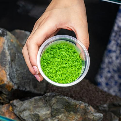 Live Plant - Dwarf Baby Tears Hemianthus Callitrichoides Live Aquarium Plant Tissue Culture Cup - 100% Snail Free in Vitro (Dwarf Baby Tears) - color: Dwarf Baby Tears Hemianthus Callitrichoides