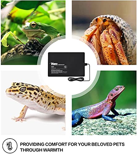 iPower 8 by 12-Inch 16W Reptile Heat Mat, Under Tank Warmer Terrarium Heat Pad for Turtles Lizards Frogs and Other Small Animals, Multi Sizes - size: 8" x 12", style: Heat Pad
