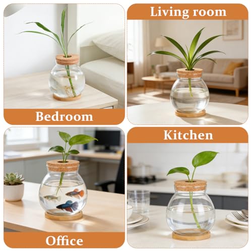 POPETPOP Desktop Glass Fish Bowl - Round Small Fish Tank | with Wood Stopper & Bamboo Mat, Clear Glass Betta Fish Bowl for Succulent Plants, Hydroponic Air Plant (5.5X5.1 Inch)