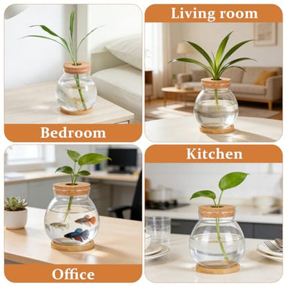 POPETPOP Desktop Glass Fish Bowl - Round Small Fish Tank | with Wood Stopper & Bamboo Mat, Clear Glass Betta Fish Bowl for Succulent Plants, Hydroponic Air Plant (5.5X5.1 Inch)