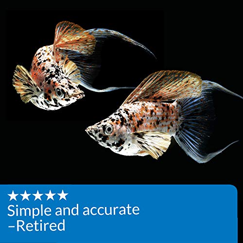 API AMMONIA TEST STRIPS Freshwater and Saltwater Aquarium Water Test Strips 25-Test Box - style: Aquarium Water Testing