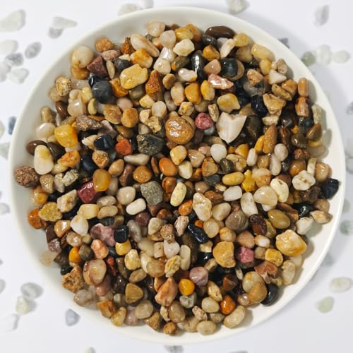 Pebbles for Indoor Plants,River Rocks for Succulent Plants,Aquarium Gravel | 3Lb Decorative Stones Bonsai Garden Pebbles,Succulent Rocks,Small Aquarium Rocks for Landscaping ,Plants,Vase Fillers - color: Brown