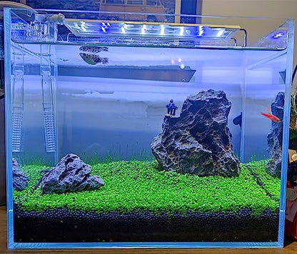 4 in 1 Aquarium Plant S.e.e.ds, no Artificial Plastic Plant, Live Grass for Fish Tank, fit All Substrate (0.36ozTiny+0.36oz Long+0.36oz Short+0.36oz Big Dual) ZQV-003