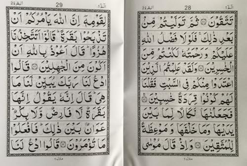 30 Para Set of the Holy Quran – Large Bold Script (9 Lines Per Page) | 30 Separate Sections in Hardcover Ramadan Gift Eid gifts