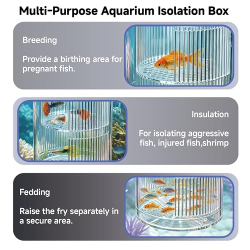 Floating Breeder Box for Fish Tank, Acrylic Baby Aquarium Isolation Box Hatchery Incubator Tank with Suction Cups for Guppy, Betta, Clownfish, Baby Fish, Shrimp & Injured Fish (M) - size: M