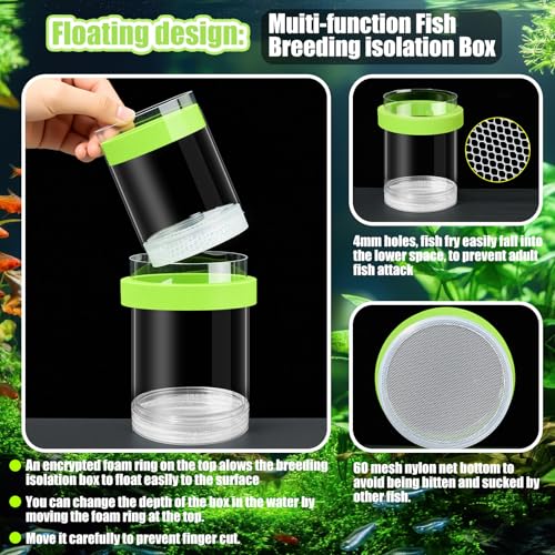 Beeveer 2 Pcs Breeder Box for Fish Tank Aquarium Breeder Separation Net Breeding Box with Suction Cup for Small Fish Shrimp Clownfish Guppy(Green,M)