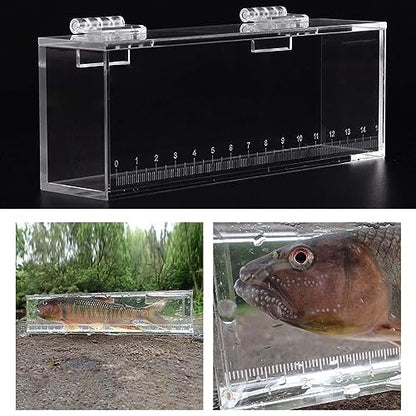 Acrylic for Fishing Photo Tank, S - size: Small