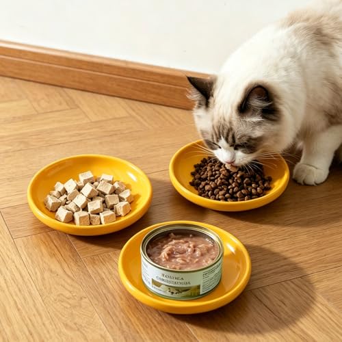 3 PCS Ceramic Cat Bowls, 5.5 in Pet Food Bowl Cat Dishes for Food and Water, Small Dog Dish(Yellow) - color: Yellow