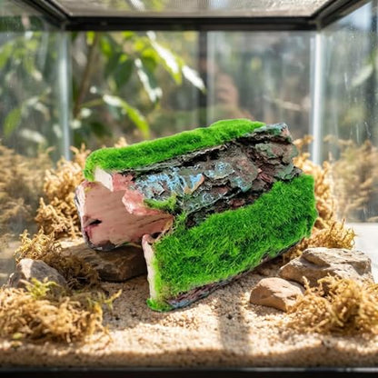 Reptile Hideout & Aquarium Cave Decor, Resin Hollow Log Hide for Fish Tank, Shrimp Turtle Lizard Betta Hiding Spot, Aquarium Ornament with Moss Look, 2.5"-4.1"