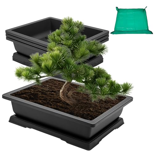 GROWNEER 3Pcs 18 Inch Bonsai Training Pots with Drainage Humidity Trays & Repotting Mat, Large Bonsai Tree Pot Kits for Starter, Succulent Growing Planter Set for Garden Indoor Outdoor - size: 3pcs/18x14in