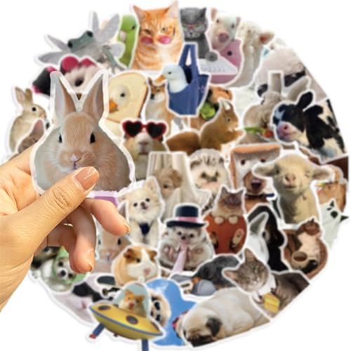 50Pieces Cat Dog Meme Stickers, Funny Animal Transparent PET Sticker Self-Adhesive Scrapbooking Stickers Supplies Journal Stocking Stuffers for Kid Adult Card Making Letters DIY (CDMEME-PET) - color: Cdmeme-pet